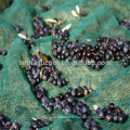 Китай питания 100% ПЭ оливковый урожай сетка/оливковая сетка для сельского хозяйства (32г-150г оливковое нетто )
